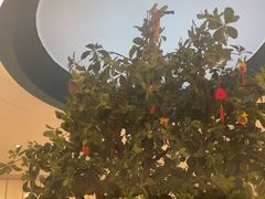 -悦海·家宴·冰花皮皮虾大锅贴(宝龙店)