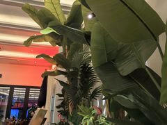 -Mezomd曼索蒂西班牙餐厅(广粤店)