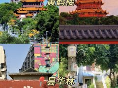 -靓靓蒸虾·头牌蒸虾(雪松路总店)