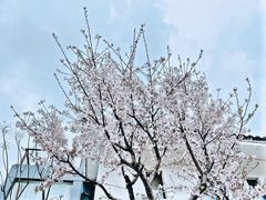 -石湖景区