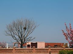 -清风小镇闯关东影视基地