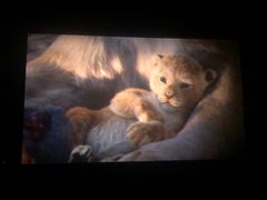 -新影联鸿泰影城