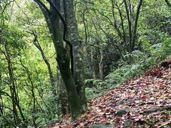 -广东天露山旅游度假区