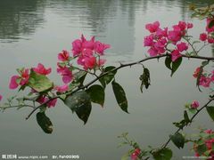 -大嶝英雄三岛战地观光园