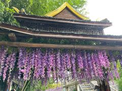 -呀路古热带植物园