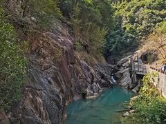 -广州白江湖森林公园