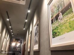 -iplus爱家高端孕妇摄影