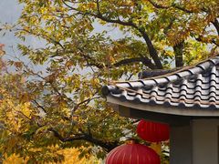 -遵化市禅林寺古银杏风景园