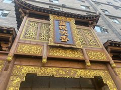 -成都蓝城悦杏温泉美食酒店(宽窄巷子店)