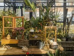-北马山庄植趣咖啡