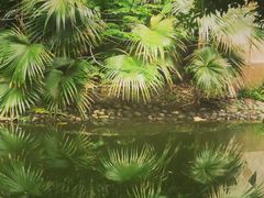 -人民公园(罗湖区)