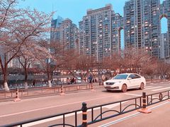 -西北湖绿化广场