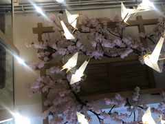 -兔行天下-鸿鹤鲜锅兔(中海国际店)