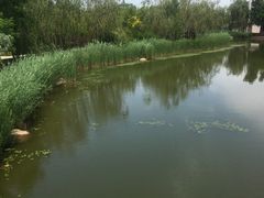 -武清南湖绿博园