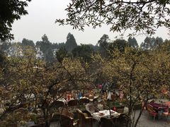 -三圣花乡旅游区