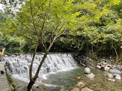 -石台牯牛降景区