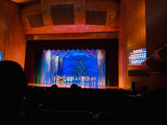 -北京大学百年讲堂