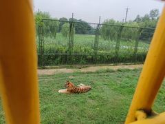 -上海野生动物园