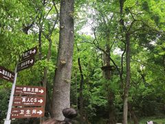-WeLope紫金山探险公园