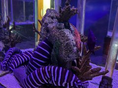 -太平洋海底世界