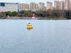 -青枫公园
