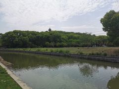 -上海佘山国家森林公园天马山园