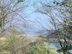 -广州市流溪河国家森林公园