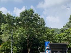 -火炉山森林公园