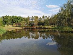 -东平国家森林公园