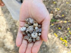 -大运河源头遗址公园