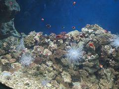 -福州罗源湾海洋世界旅游区