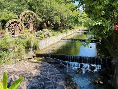 -广州白江湖森林公园