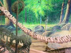 -正佳雨林生态植物园