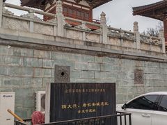 -西安乐游原