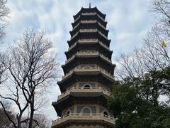 -灵谷景区