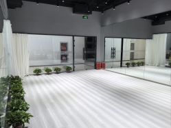 点击看大图 -VP 舞蹈工作室