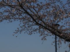 -迪士尼小镇