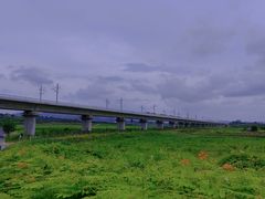 -光明小镇欢乐田园