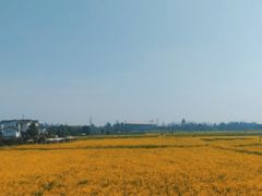 -桤木河湿地公园