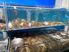 -仙螺岛海鲜自助餐厅(总店)
