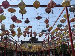 -祥源·阜阳生态乐园