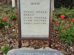 -杭州半山国家森林公园