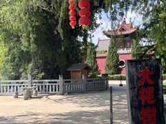 -大槐树寻根祭祖园