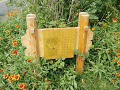 -武清南湖绿博园