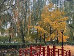 -玲珑塔公园