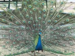 -福州罗源湾海洋世界旅游区