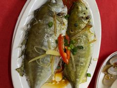 -蛇口康乐快餐鱼仔档(翠苑小区店)