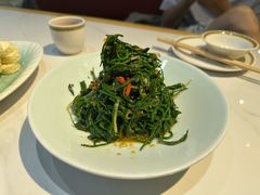 苦菜沙葱拼-十二毡房蒙餐·蒙古包