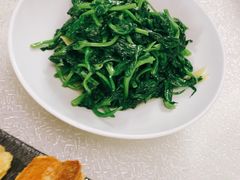 清炒豌豆尖-云腾食府·云南菜