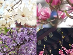 -西安市广仁寺